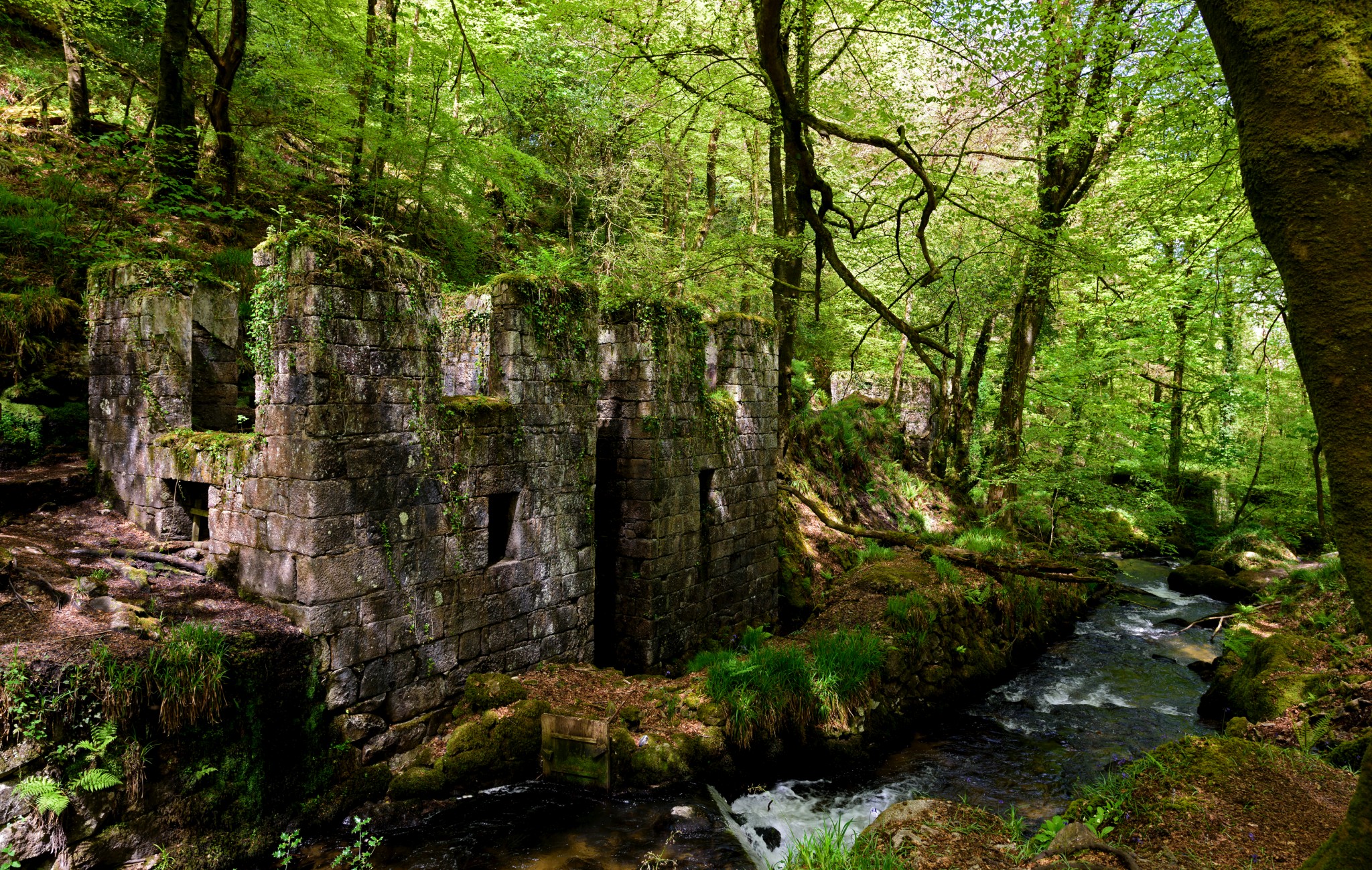 Kennall Vale Incorporating Mills